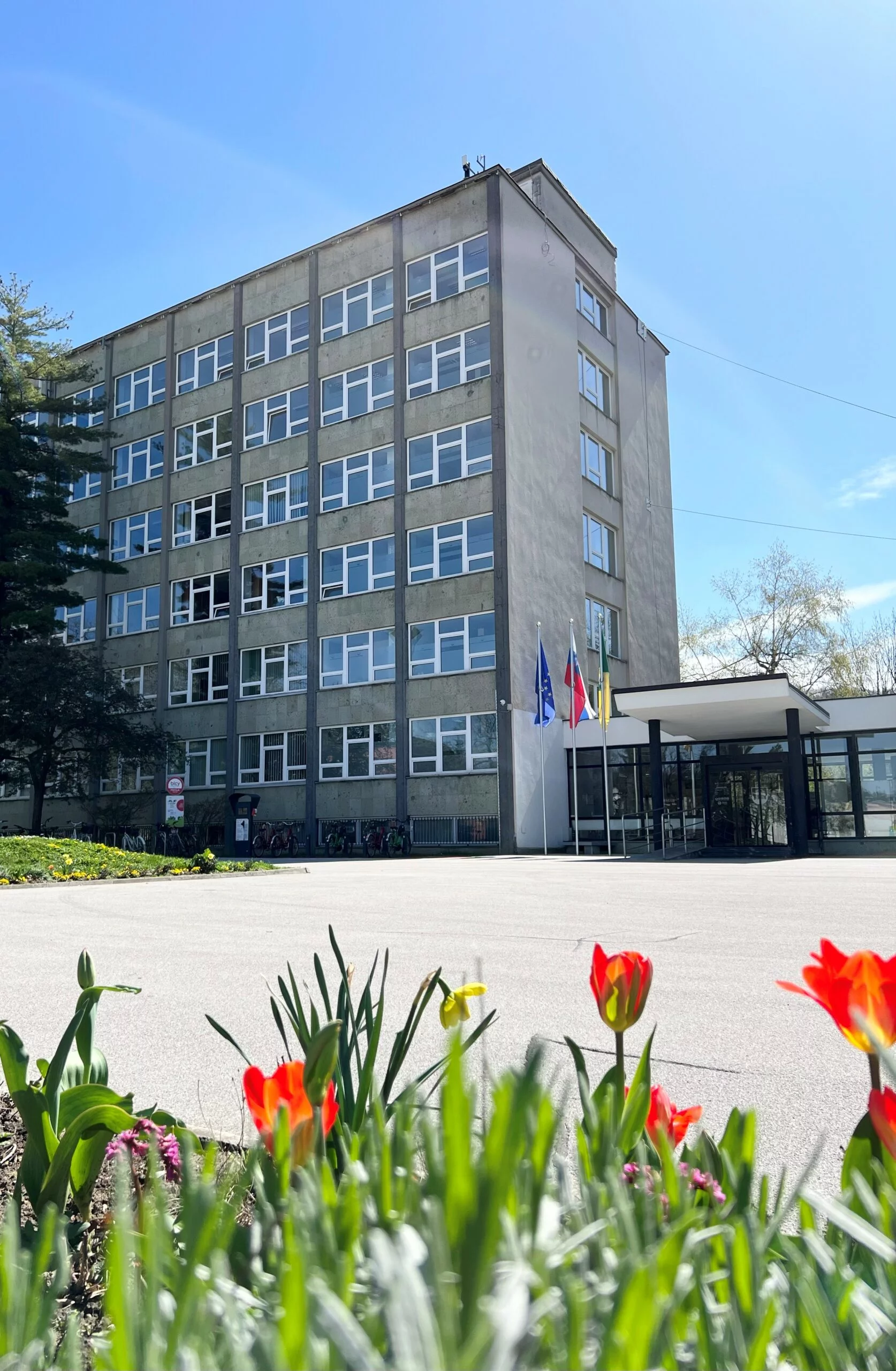 mov-Velenje1