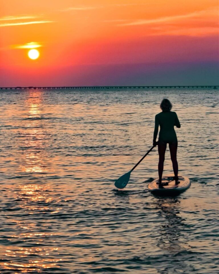 685E7BED-2384-462C-8A24-9CAB5594C542