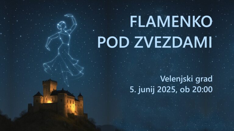 flamenko pod zvezdami 2025