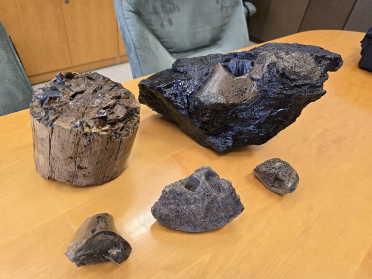 Fosilizirana-najdba-zunaj-1024x768