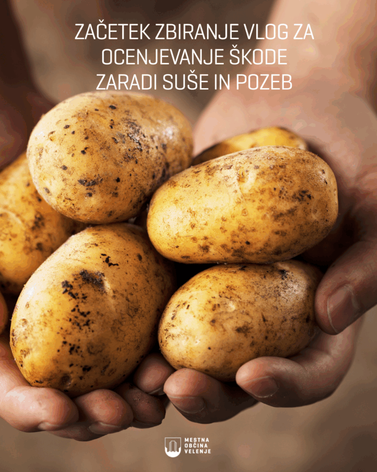 Zacetek zbiranja vlog za ocenjeva nje škode zaradi suše in pozeb