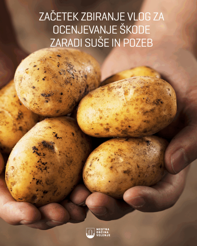 Zacetek zbiranja vlog za ocenjeva nje škode zaradi suše in pozeb
