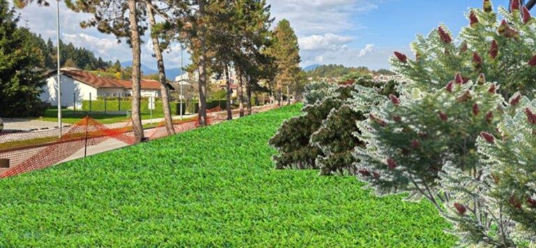 Predlog zasaditve KS Gorica