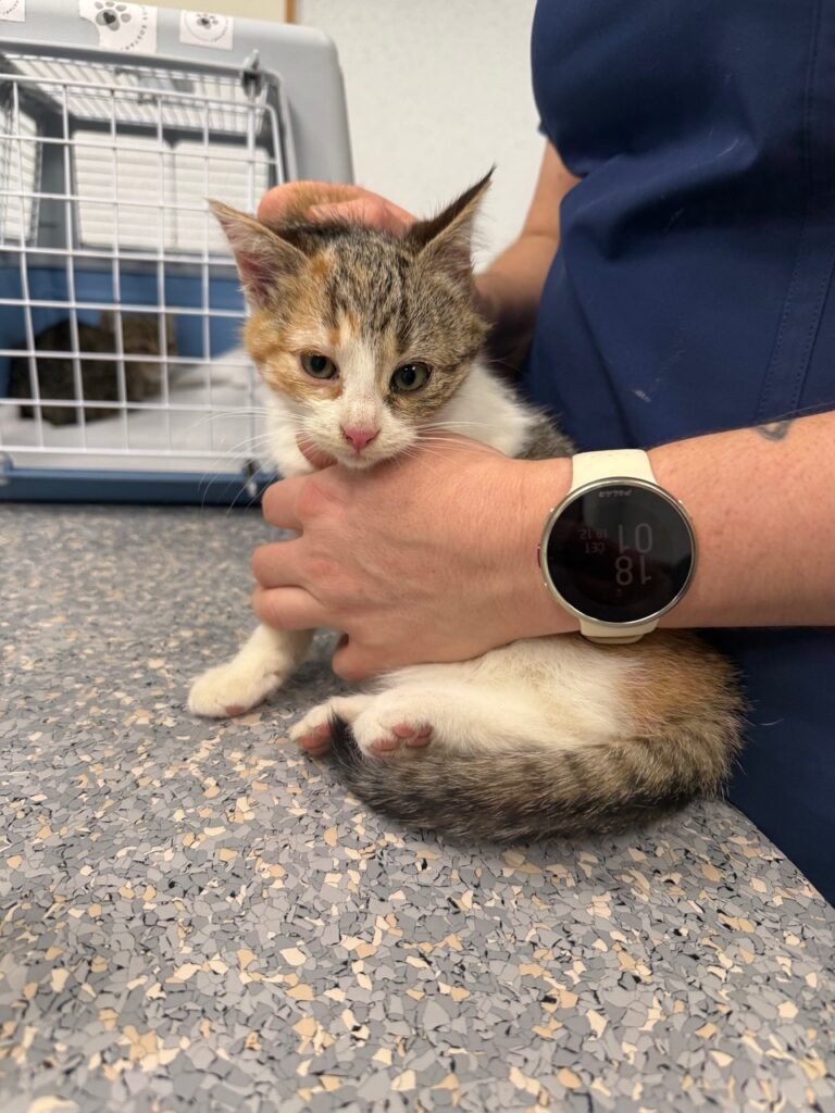 611375038_10228197609760276_1349477338440463415_n