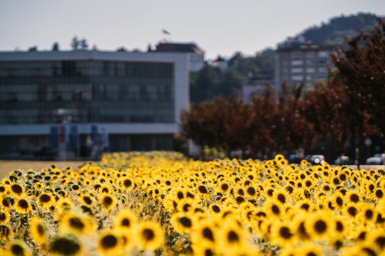 Videtic Aljosa Velenje 204