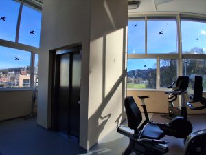 Prenova Bazen Velenje, mar 2026 (12)