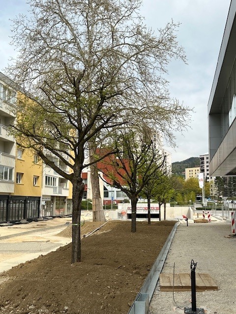 Cankarjeva pri CN- 2